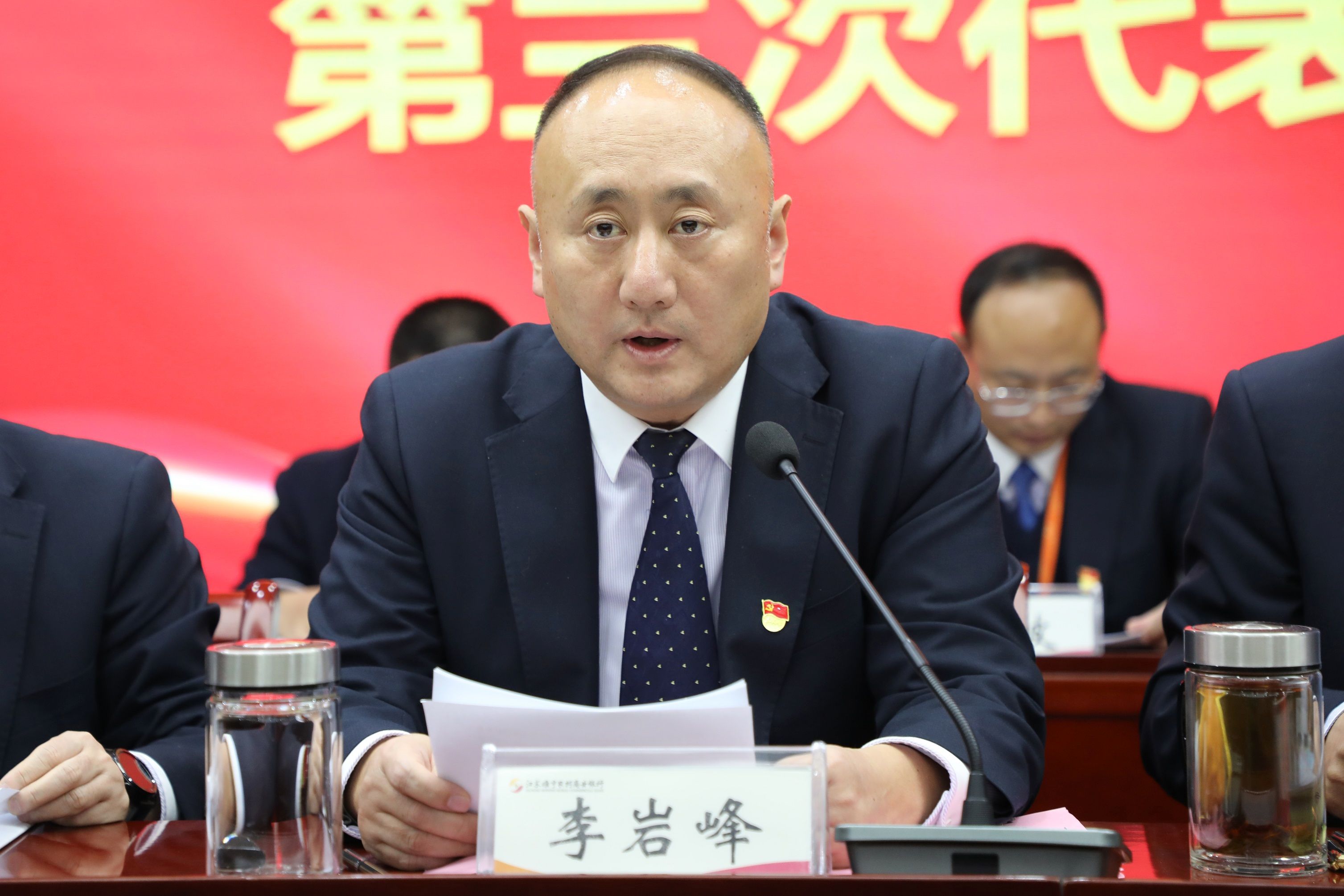 黨委書記李巖峰作報告